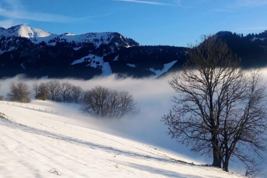 Jolie Vue Au Calme Évian-les-Bains Exterior foto